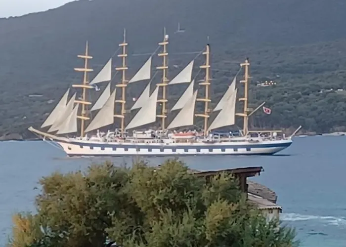 Face A La Propriano (Corsica)
